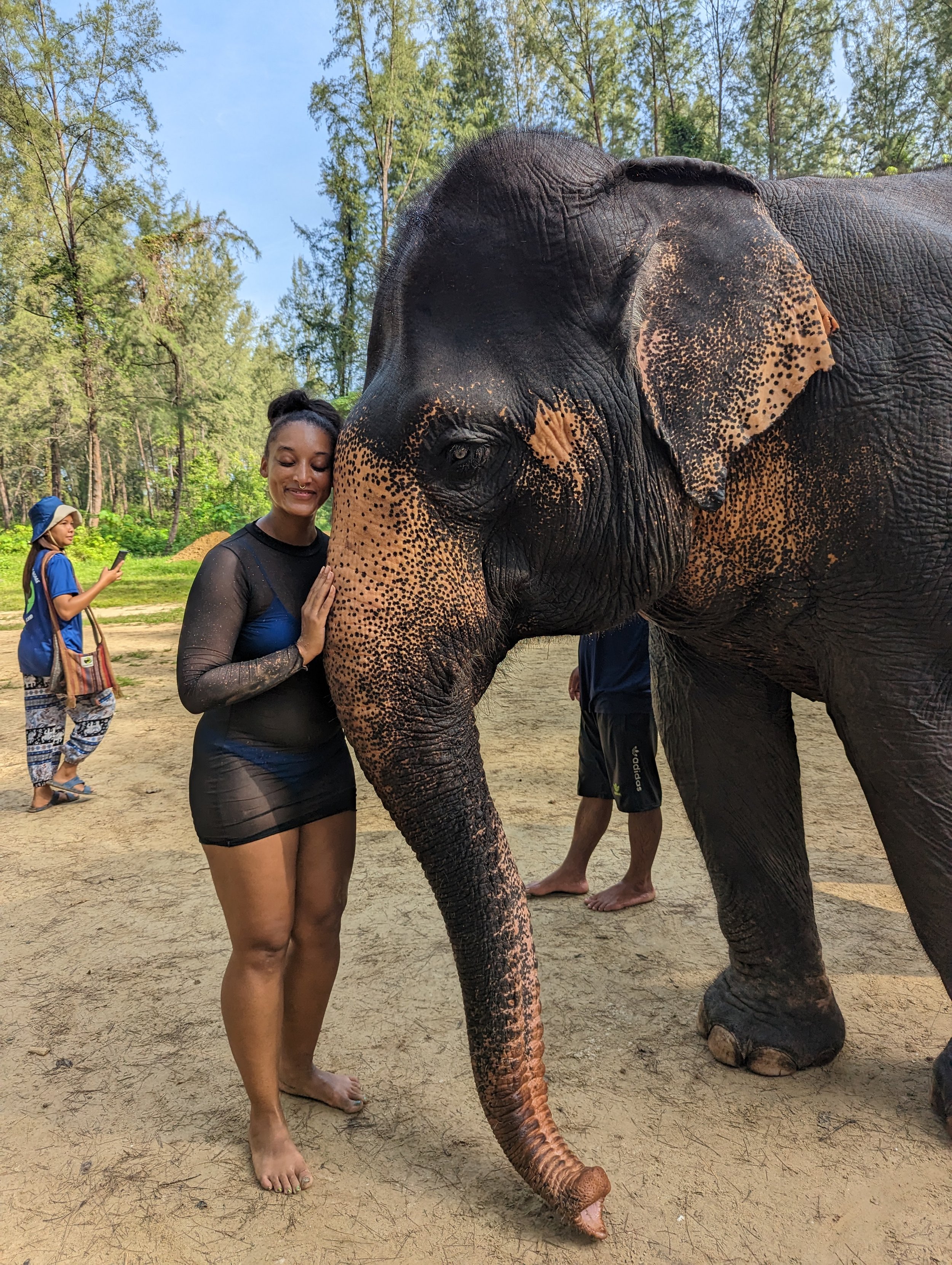 Kristina Ashley Williams — Kristina Ashley Williams